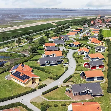 Near North Sea Dike